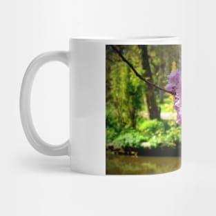 Collett Park Blossoms Mug